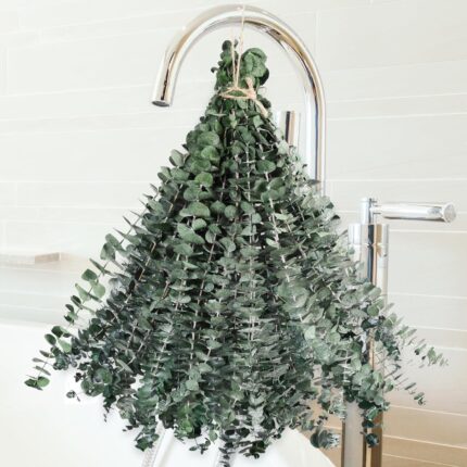 36 Pcs Dried Eucalyptus for Shower Hanging - 17'' Real Large Preserved