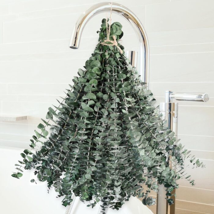 36 Pcs Dried Eucalyptus for Shower Hanging - 17'' Real Large Preserved