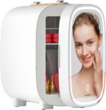 DF01A Skincare Fridge, With 3-Level Dimmable LED Light Mirror, Low