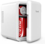 Ecowell WRE100 Mini Bedroom, 4L/6 Can Skincare Fridge, AC/DC Portable