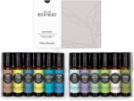 Edens Garden Essential Oils Best of the Best Roll-On 12 Set – 100%