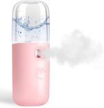 GIVERARE Nano Facial Steamer, Handy Mini Mister, USB Rechargeable Mist