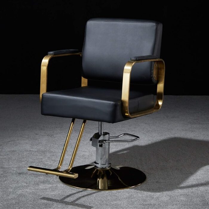 Hair Cutting Salon Chair Personal Care Salon Hair Styling