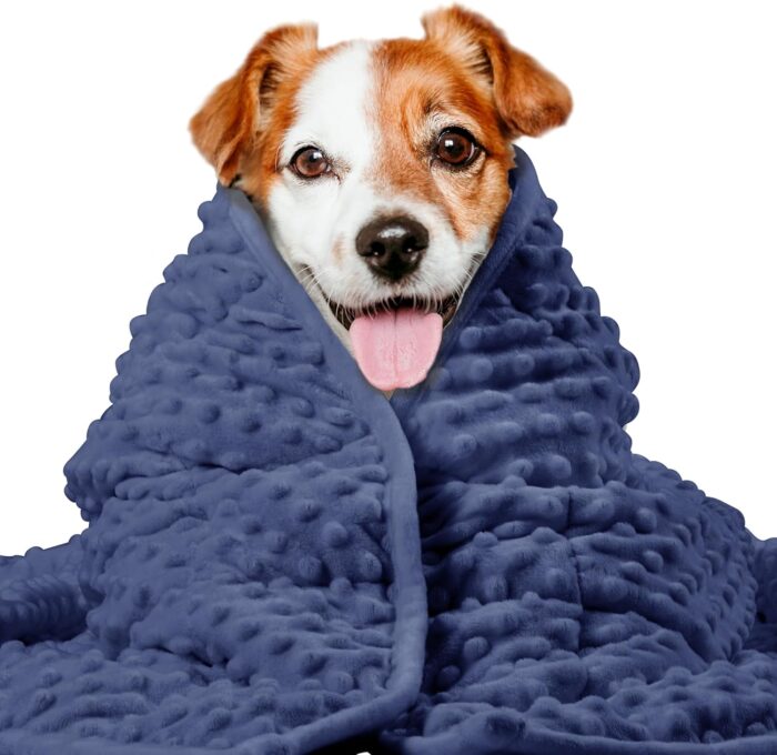 LaSyL Weighted Blanket for Pets | Thunder Blanket for Dogs Anxiety |