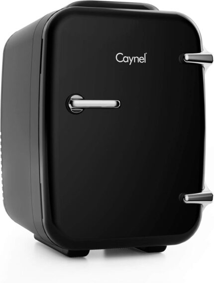 Mini Fridge Portable Thermoelectric 4 Liter Cooler and Warmer for