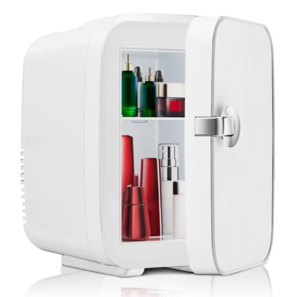 OLIXIS Mini Fridge Portable 4L/6 Can Cooler & Warmer 110V AC/ 12V DC