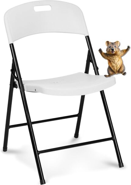 Oline Folding Chair, Indoor Outdoor Plastic Commercial Stackable
