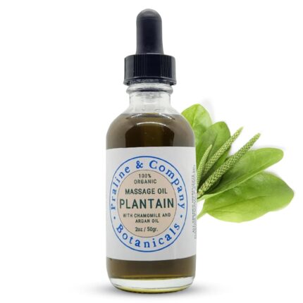 Plantain Massage Oil for Deep Relaxation and Wellness - Body Massage