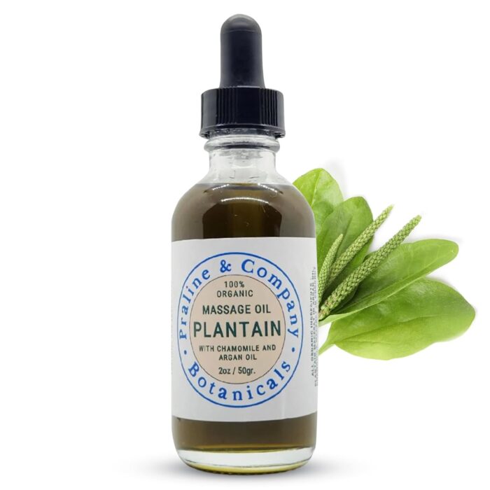 Plantain Massage Oil for Deep Relaxation and Wellness - Body Massage