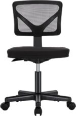 Sweetcrispy Office Computer Desk Chair, Ergonomic Low-Back Mesh