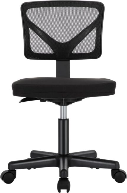 Sweetcrispy Office Computer Desk Chair, Ergonomic Low-Back Mesh
