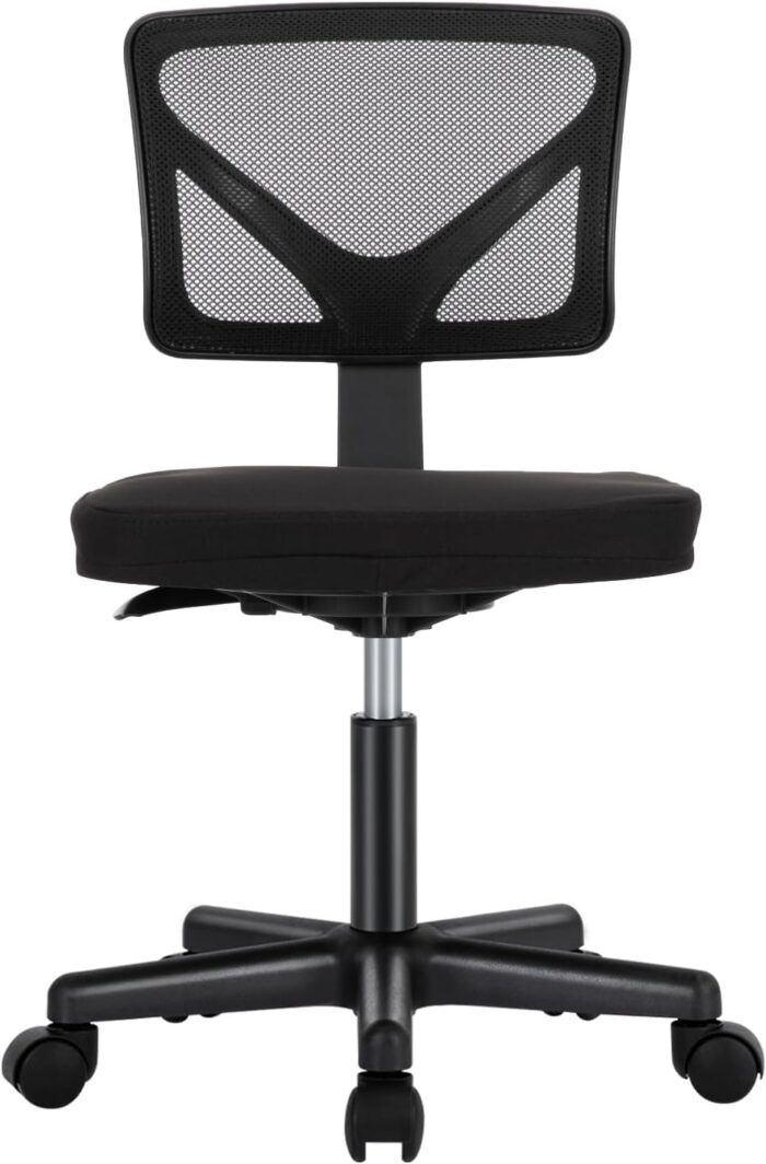 Sweetcrispy Office Computer Desk Chair, Ergonomic Low-Back Mesh