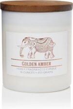 CAROLINA Golden Amber Scented Jar Candle, Wellness Collection,