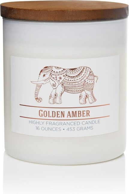 CAROLINA Golden Amber Scented Jar Candle, Wellness Collection,