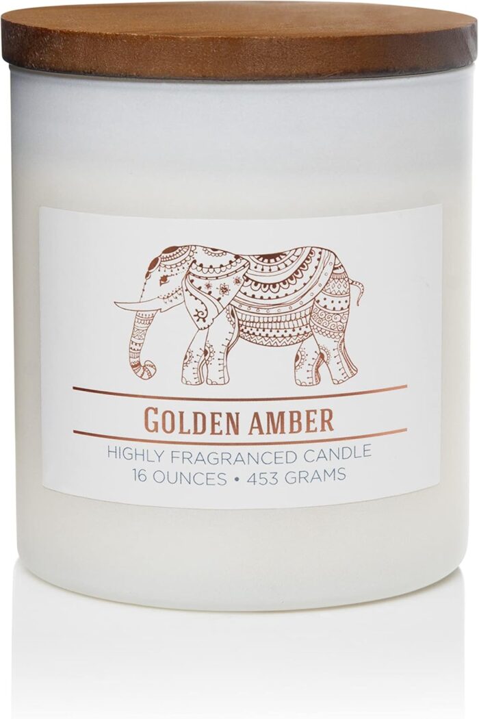 CAROLINA Golden Amber Scented Jar Candle, Wellness Collection,