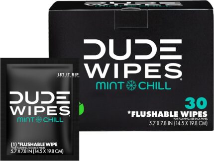 DUDE Wipes - On-The-Go Flushable Wipes - 1 Pack, 30 Wipes - Mint Chill