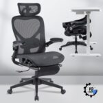 FLEXISPOT Foldex Ergonomic Office Chair, Folding Chair for Small