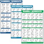QUICKFIT 3 Pack - Dumbbell Workouts + Bodyweight Exercises +