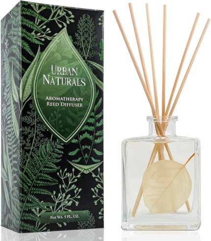 Urban Naturals Winter Eucalyptus Reed Diffuser Gift Set – Crisp